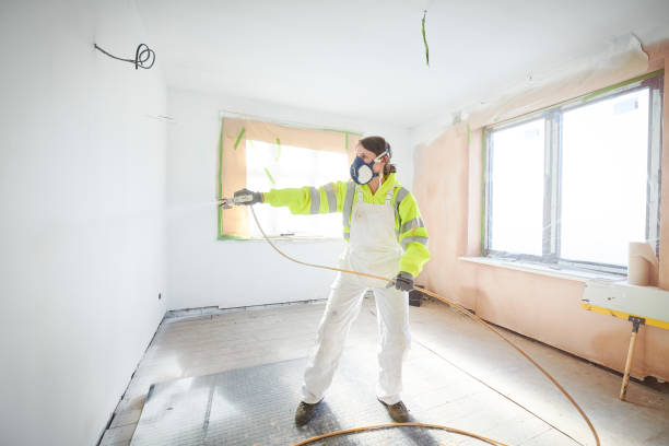 Best Mold Damage Restoration  in Bradford, OH